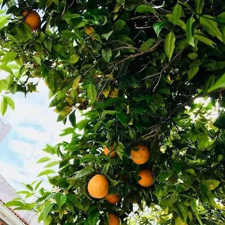 Holiday home New! Romantic House At Red In Torrevieja! *