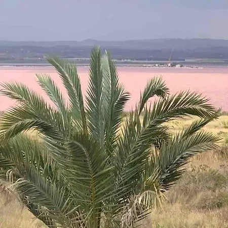 New! Romantic House At Red In Torrevieja! Holiday home