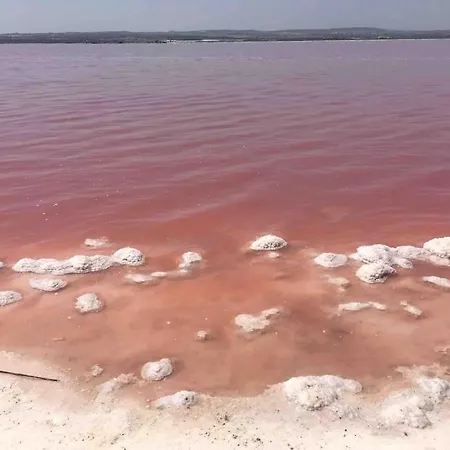 New! Romantic House At Red In Torrevieja!